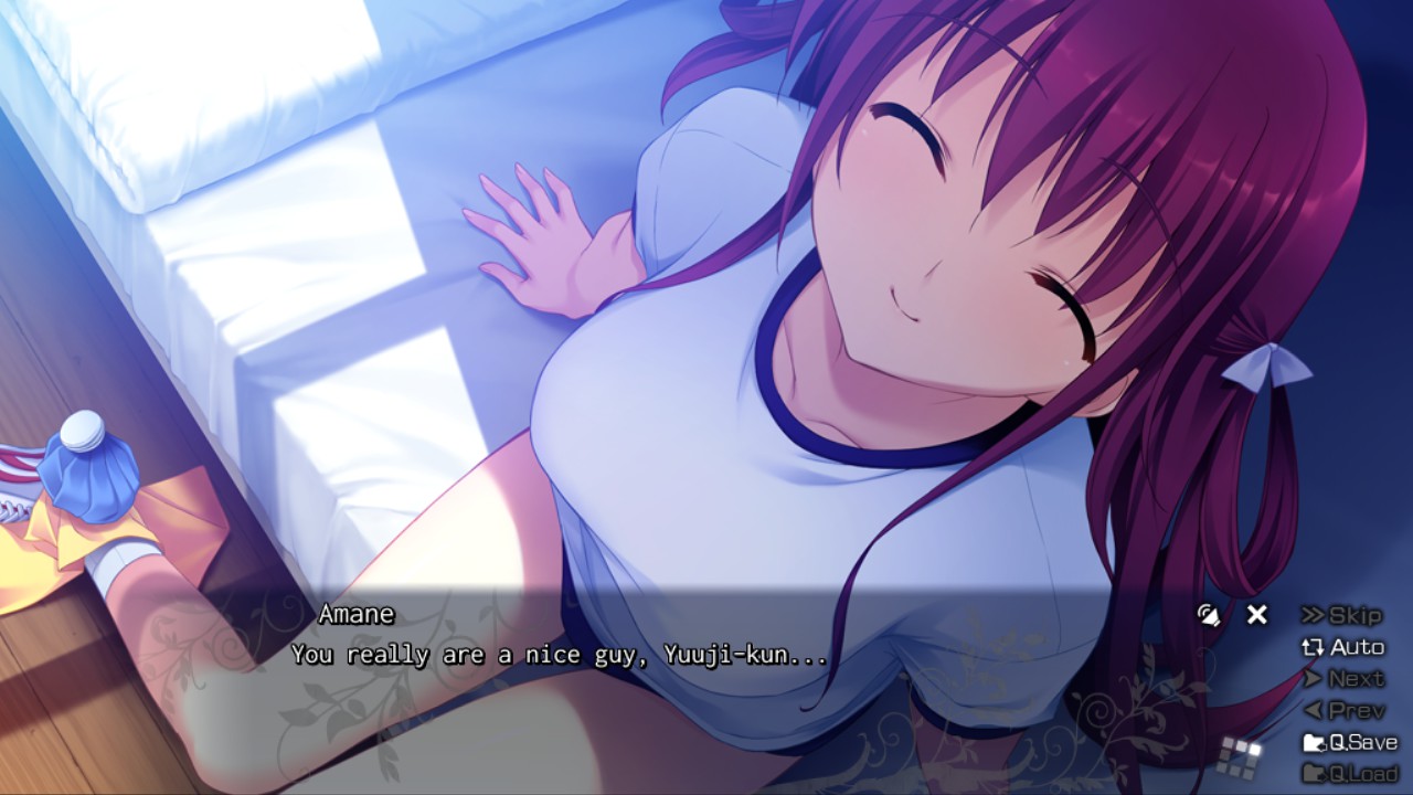 The Fruit Of Grisaia Unrated Version Steam