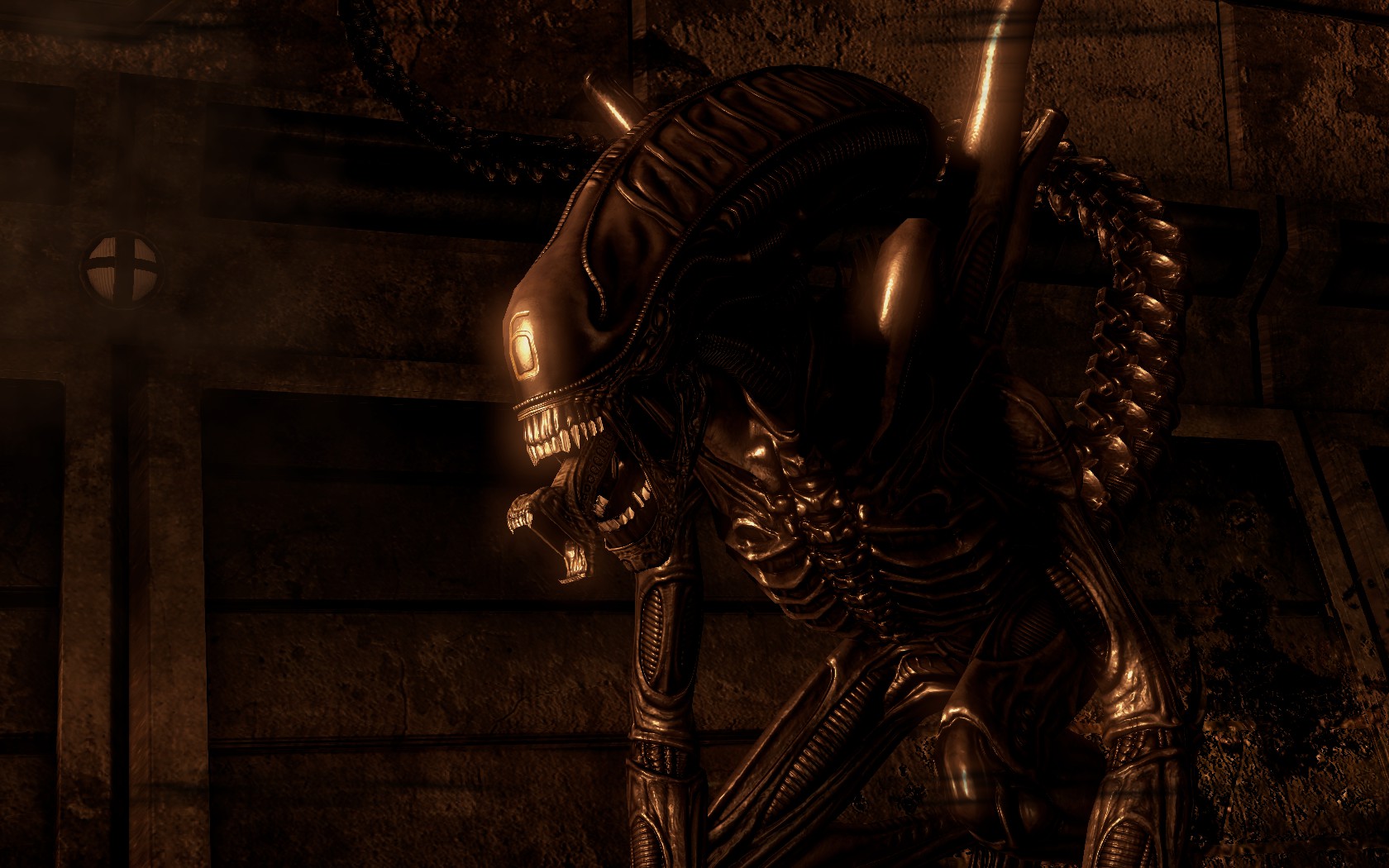 Steam Community :: Aliens vs. Predator