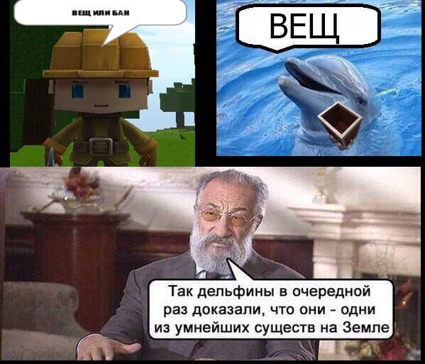 ��� ��������� �������?