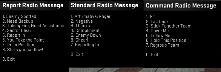 Counter Strike Global Offensive (CS GO) Radio Voice Commands