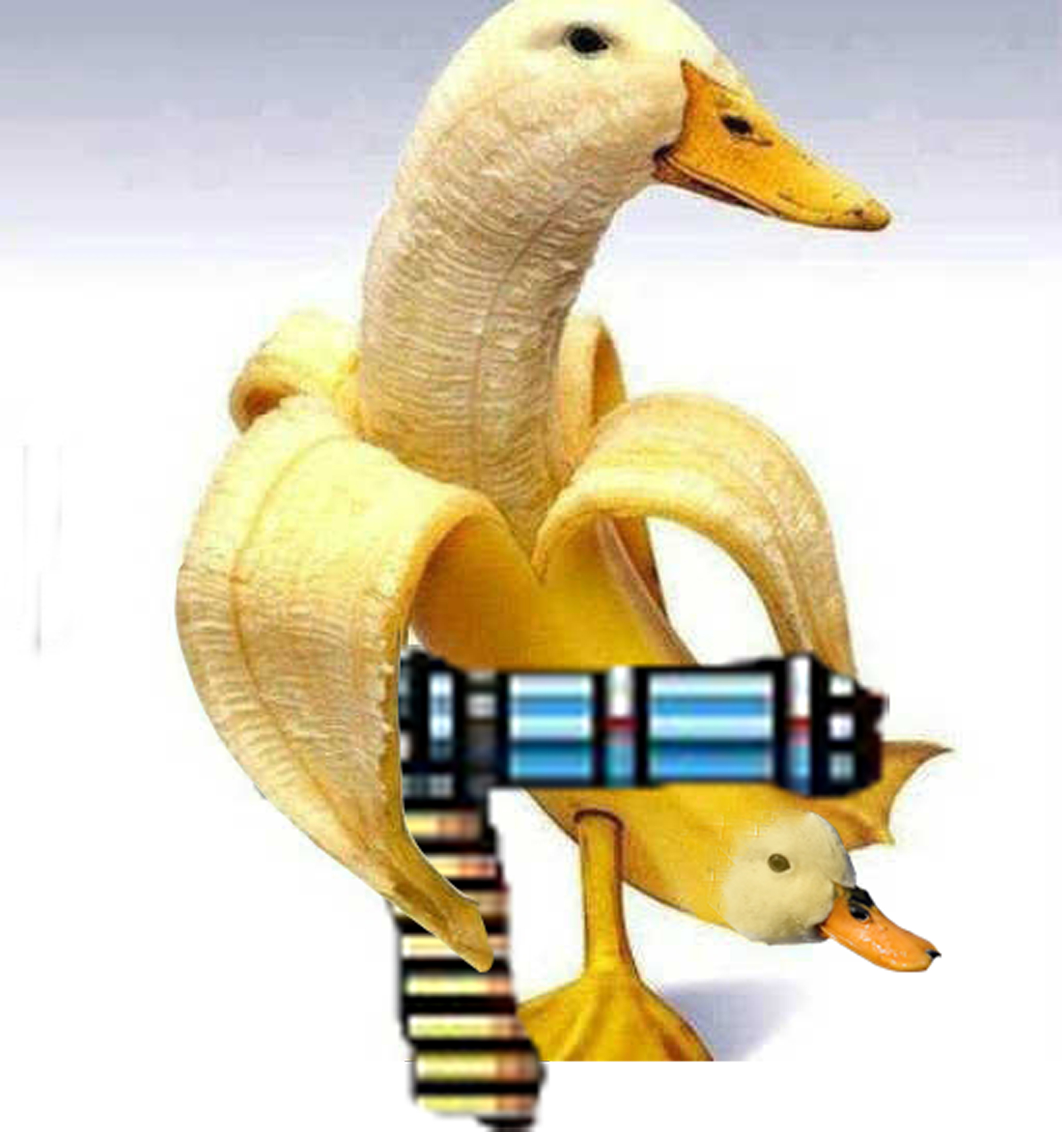 Steam Community Duck Game