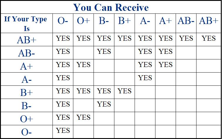 Steam Community Guide Blood Type Chart Which Goes Where 