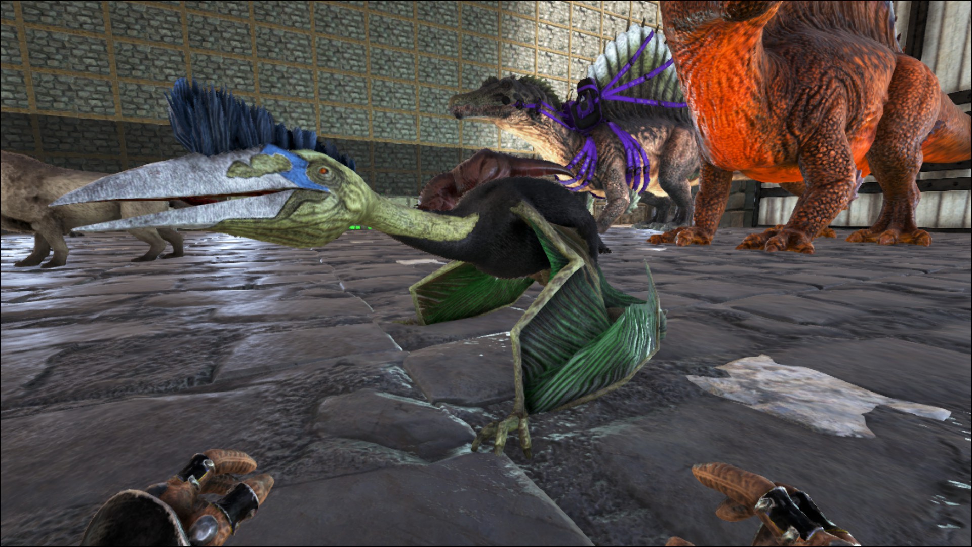 Best color mutation - General Discussion - ARK - Official Community Forums